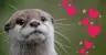 eastriverotter's Avatar