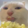keaizhiyang's Avatar