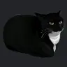 melodicmisfit's Avatar