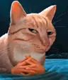 ACzoW's Avatar