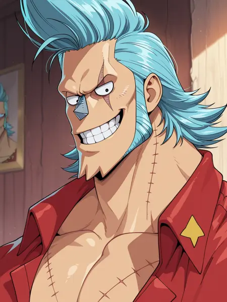 Franky —— 《One Piece》
