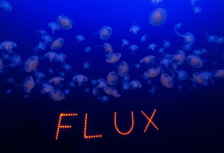 At the bottom of the deep ocean, many glowing jellyfishs swiming on the bottom, forming the letters "FLUX".
