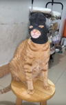kumpiser