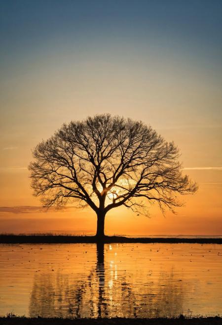 Capture the essence of tranquility in a minimalistic landscape by focusing on the silhouette of a lone tree standing tall against the vast sky. Frame the shot during the golden hour, allowing the warm glow of the sun to softly illuminate the tree's outline, while casting long shadows across the serene, uncluttered foreground. As a finishing touch, include the delicate silhouette of a bird gracefully soaring in the distance, adding a touch of harmony and life to the peaceful scene. This simple yet captivating composition will convey a sense of stillness and balance in nature, inviting viewers to pause and appreciate the beauty of the world around them.