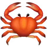 tuna21's Avatar