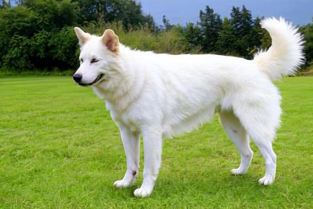 Kintamani-Bali dogs SDXL_v3
