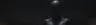 _Carpe_'s Avatar