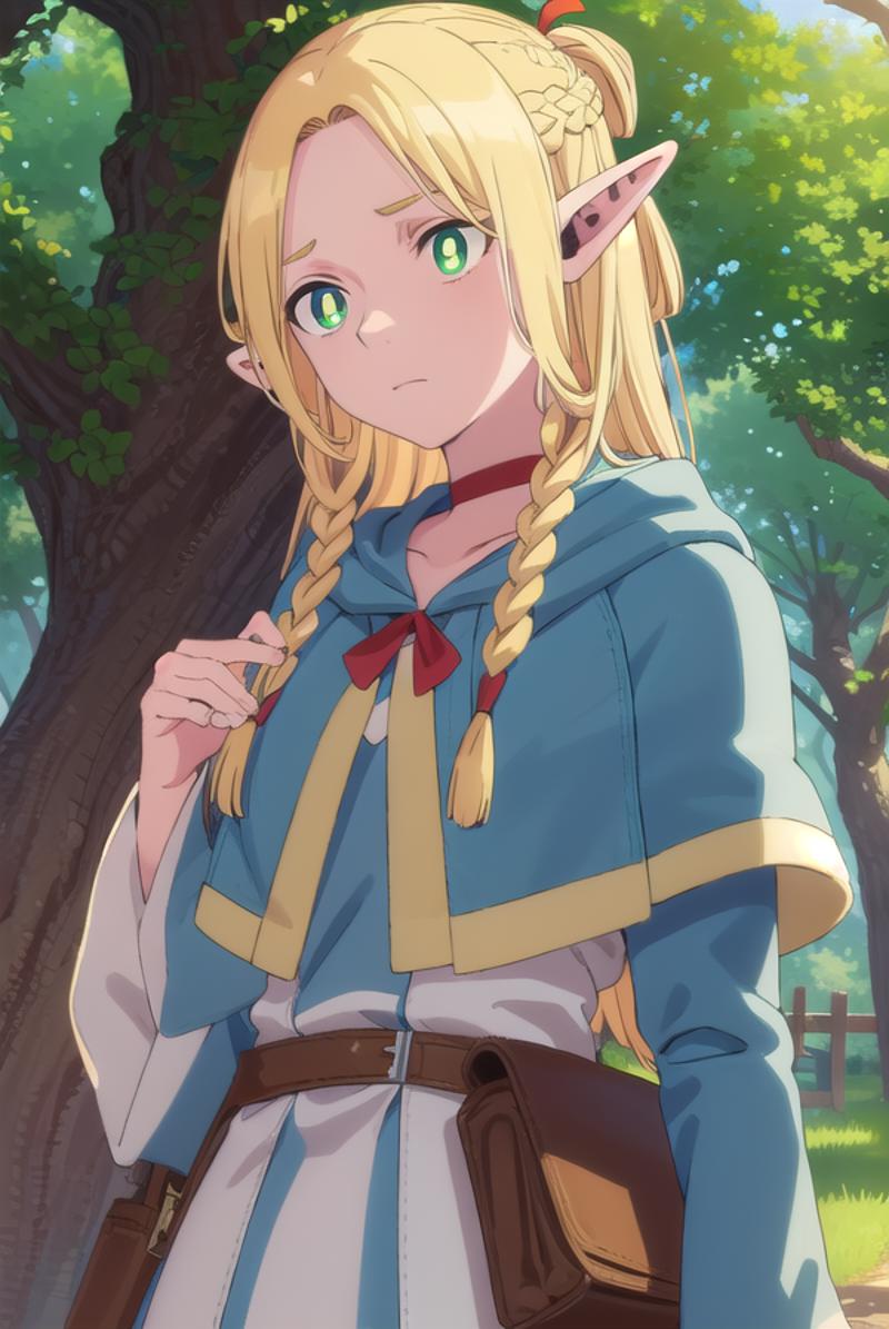 Marcille Donato (マルシル・ドナトー) - Delicious in Dungeon (ダンジョン飯) image by nochekaiser881