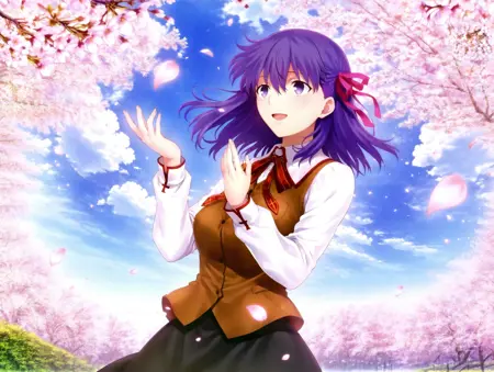 间桐樱 Matou Sakura(間桐桜)《Fate/stay night》