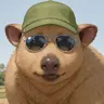 discreet_wombat's Avatar