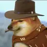 DreamPhotographer's Avatar