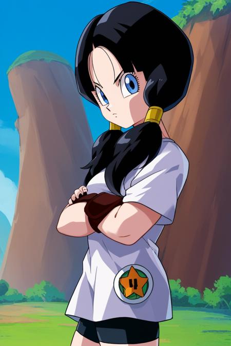 Videl [2 Outfits] - Dragon Ball First Outfit