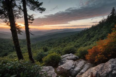 raw photo, a sunset landscape, (Hyrcanian Forests: 1.39) (temperate-rainforest), Iran, Caspian sea, cozy, photorealistic, high detailed texture, 8k uhd, dslr, soft lighting, high quality, film grain, Fujifilm XT3, Sony A7 IV, highly detailed photography, (muted colors, cinematic, dim colors, soothing tones:1.2), vibrant, insanely detailed, hyperdetailed, (dark shot:1.2), (vsco:0.3), (intricate details:0.9), (hdr, hyperdetailed:1.2) (highest coherency: 1.39) (highest quality: 1.39) (rule of Thirds) (award winning) (breathtaking) (masterclass) (vibrant color: 0.79) (mist: 0.79) (distant sea) (steep rocky hills) (sharp focus forground)