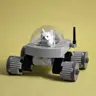 Vuxten's Avatar
